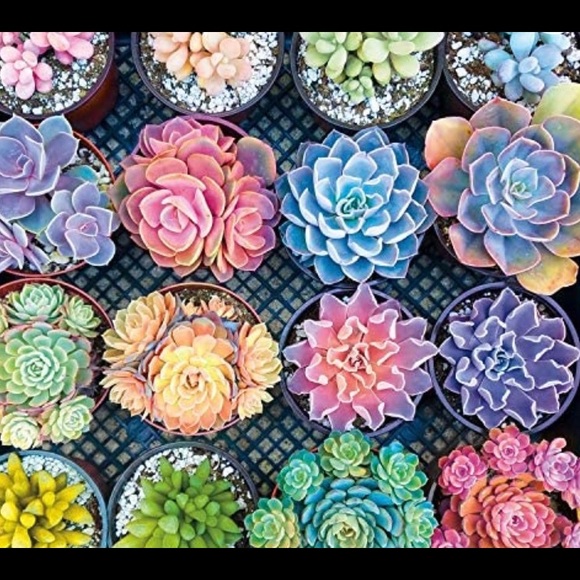 Meet your Posher, Meredith - Picture 3 of 5